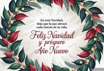 Imágenes de Feliz Navidad para a la Distancia
