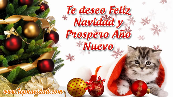 Tarjetas de Feliz Navidad y Prospero Año Nuevo 2018 - Frases de Navidad