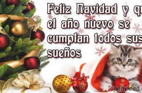 Imágenes con dedicatorias de Navidad