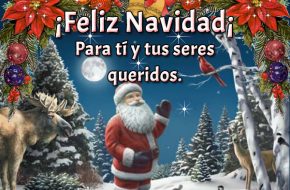 Imágenes con Felicitaciones de Navidad