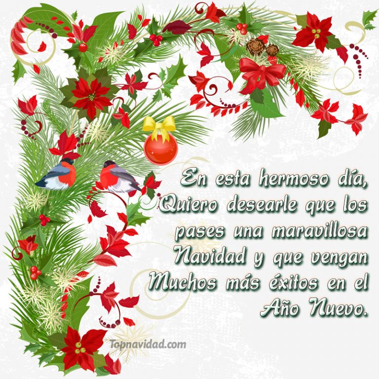 Set De 20 Tarjetas Navideñas Con 10 Diseños Ilustrados, 20 Sobres De Papel Kraft Y 2 Sellos Adhesivos, Tamaño 11,5x17 Cm, Páginas En Blanco Para Escribir Mensajes