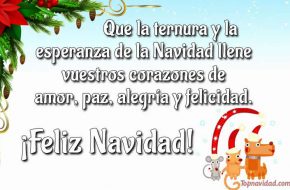 Tarjetas con frases para Felicitar en NAVIDAD